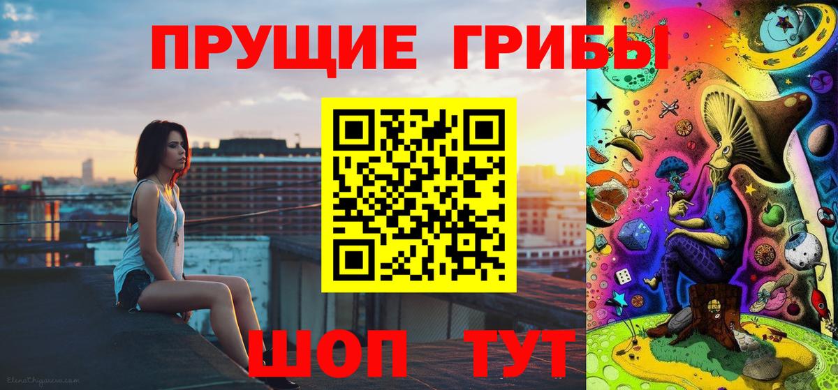 Псилоцибиновые грибы MAGIC MUSHROOMS  Вход с VPN  Сокол 